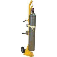 Portable Cylinder Lifter Distribution Jean Lapalme