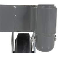 Platform Truck, 48" L x 24" W, 2000 lbs. Capacity, Rubber Casters Distribution Jean Lapalme