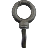 Alloy Steel Eye Bolt, 1" Dia., 1-1/4" L, 1480 lbs. (0.74 tons)/1480 lbs. Capacity Distribution Jean Lapalme