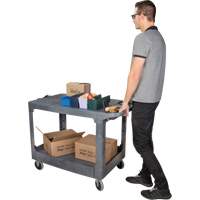 Flat-Shelf Utility Service Cart, 2 Tiers, 25-1/4" x 32-1/4" x 44", 550 lbs. Capacity Distribution Jean Lapalme