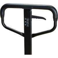 Steel Wheel Pallet Truck, Steel, 48" L x 27" W, 5500 lbs. Capacity Distribution Jean Lapalme