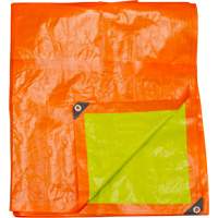 High-Visibility Heavy-Duty Woven Tarp, Polyethylene, Green/Orange, 16' x 20' x 12 mils Distribution Jean Lapalme