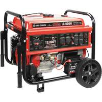 Tri-Fuel Generator with Electric Start Distribution Jean Lapalme
