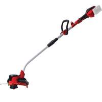 Coupe-bordure sans fil (outil seulement), 12", &agrave; pile, 36 V Distribution Jean Lapalme