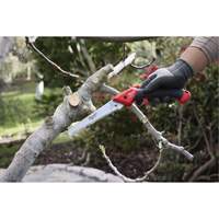7” Folding Pruning Saw with ?Straight Blade Distribution Jean Lapalme