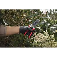 1” Angled Pruning Shears Distribution Jean Lapalme