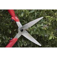 Hedge Shears? with Hollow Handle Distribution Jean Lapalme