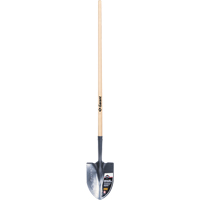 Pelle ronde Pro, Lame Acier durci, Bois, Manche Droit Distribution Jean Lapalme