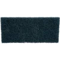 Scrubber Pad, 10" L x 4-5/8" W Distribution Jean Lapalme