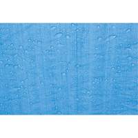 Tarp, Standard Duty, Blue, 7' x 5' x 4 mils Distribution Jean Lapalme