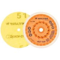 Quick-Step Instant Polish Discs, 5" Dia. Distribution Jean Lapalme
