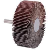 Roue &agrave; lamelles mont&eacute;e sur tige, Grain 60, 3" x 1" x 1/4" Distribution Jean Lapalme