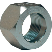 &eacute;crou hexagonal de minage Dixon, 1", Zingu&eacute;, Filetage NPT Distribution Jean Lapalme