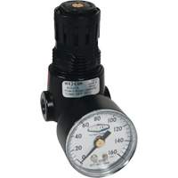 Wilkerson Miniature Regulator R04, 1/4" NPT, 300 psi Max. PSI, Standard Distribution Jean Lapalme