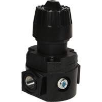 Wilkerson Compact Regulator R16, 1/4" NPT, 300 psi Max. PSI, Standard Distribution Jean Lapalme