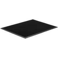 Gritstop Fingermat Matting, Rubber, Scraper Type, Textured Pattern, 2' x 2-2/3', Black Distribution Jean Lapalme