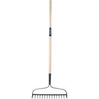 Heavy-Duty Bow Rake, Wood Handle, 58" L, 15" Blade, 15 Tines Distribution Jean Lapalme