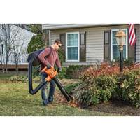 Souffleur/aspirateur/broyeur de feuilles 3-en-1 VacPack, Vitesse d'air 250 mi/h, &eacute;lectrique Distribution Jean Lapalme