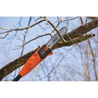 9-1/2' Pole Saw Distribution Jean Lapalme