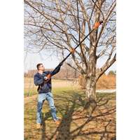 9-1/2' Pole Saw Distribution Jean Lapalme