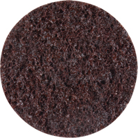 Standard Abrasives Surface Conditioning Discs, 2" Dia., Coarse Grit Distribution Jean Lapalme