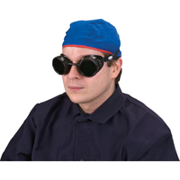 Cup Goggles, 5.0 Lens, Anti-Scratch, Closed Vent Distribution Jean Lapalme