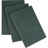 Scouring Hand Pad, 6" x 9", Medium Grit Distribution Jean Lapalme