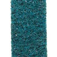 Scotch-Brite Surface Conditioning Belt Distribution Jean Lapalme