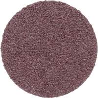 Meule en toile PSA 348D, 20" dia., Grain 60, Oxyde d'aluminium Distribution Jean Lapalme