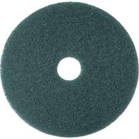 Cleaner Pad, 13", Scrubbing, Blue Distribution Jean Lapalme