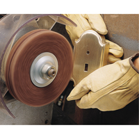 Disques robustes Scotch-Brite (oxyde d'aluminium), 6" dia., Grain Tr&egrave;s fin, Oxyde d'aluminium Distribution Jean Lapalme
