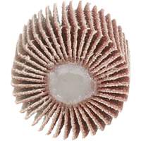 Flap Disc 747D, Aluminum Oxide/Ceramic, 80 Grit, 1" x 1" x 1/4" Distribution Jean Lapalme