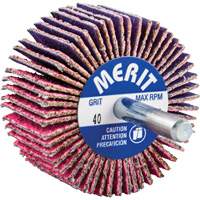 Shank Mounted Mini Flap Wheel, Ceramic Alumina, 40 Grit, 2" x 1" x 1/4" Distribution Jean Lapalme