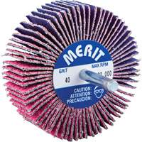 Shank Mounted Mini Flap Wheel, Ceramic Alumina, 40 Grit, 3" x 1" x 1/4" Distribution Jean Lapalme
