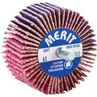 Threaded Mini Flap Wheel, Ceramic Alumina, 40 Grit, 2" x 1" x 1/4"-20 Distribution Jean Lapalme