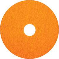 BlazeX F980 Fiber Disc, Ceramic Alumina, 36, 5" Dia x 7/8" Arbor Distribution Jean Lapalme
