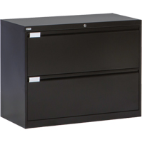Lateral Filing Cabinet, Steel, 2 Drawers, 36" W x 18" D x 27-7/8" H, Black Distribution Jean Lapalme