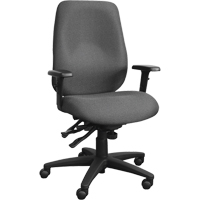 Cierra Ergonomic Chairs, Fabric, Grey, 250 lbs. Capacity Distribution Jean Lapalme