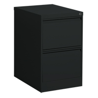 Classeur vertical, Acier, 2 tiroirs, 18-1/7" la x 25" p x 29" h, Noir Distribution Jean Lapalme