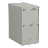 Classeur vertical, Acier, 2 tiroirs, 15-1/7" la x 25" p x 29" h, Gris Distribution Jean Lapalme