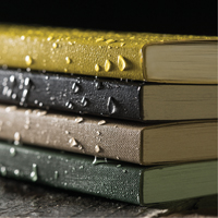Field-Flex Bound Book, Soft Cover, Black, 128 Pages, 4-5/8" W x 7-1/4" L Distribution Jean Lapalme