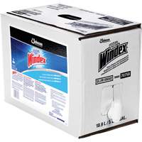 Nettoyant pour vitres Windex avec Ammoniac-D, 5 gal., Sac Distribution Jean Lapalme