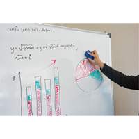Efface pour tableau blanc Distribution Jean Lapalme