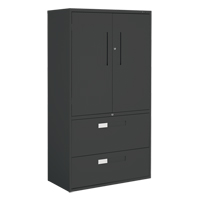 Multi-Stor Cabinet, Steel, 3 Shelves, 65-1/4" H x 36" W x 18" D, Black Distribution Jean Lapalme