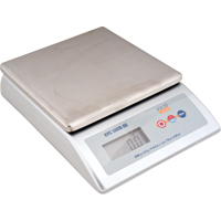 Platform Scale, 2000 g Capacity Distribution Jean Lapalme