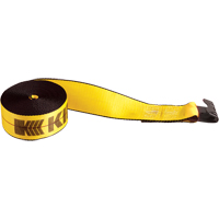 Winch Straps, Flat Hook, 4" W x 30' L, 5400 lbs. (2450 kg) Working Load Limit Distribution Jean Lapalme