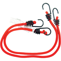 Bungee Cords