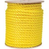 Braided Yellow Rope, Polypropylene, 300' Distribution Jean Lapalme