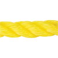 Braided Yellow Rope, Polypropylene, 300' Distribution Jean Lapalme