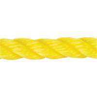 Braided Yellow Rope, Polypropylene, 144' Distribution Jean Lapalme